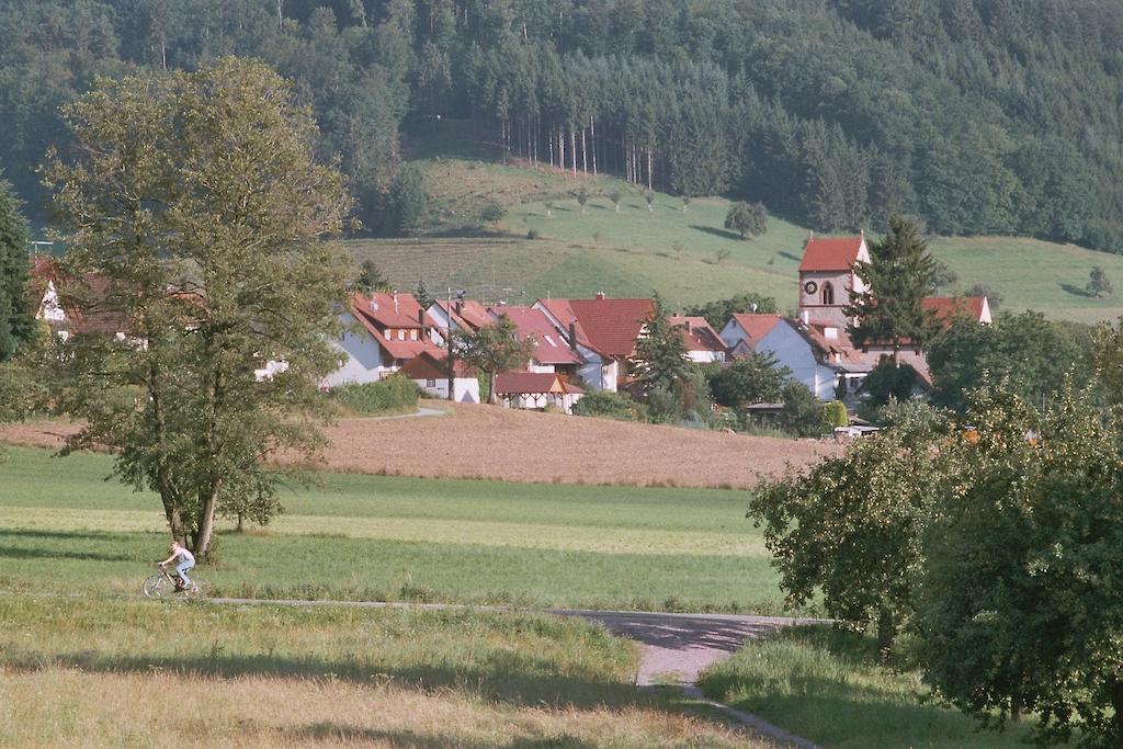 Landgasthof Ochsen Seelbach  Eksteriør bilde